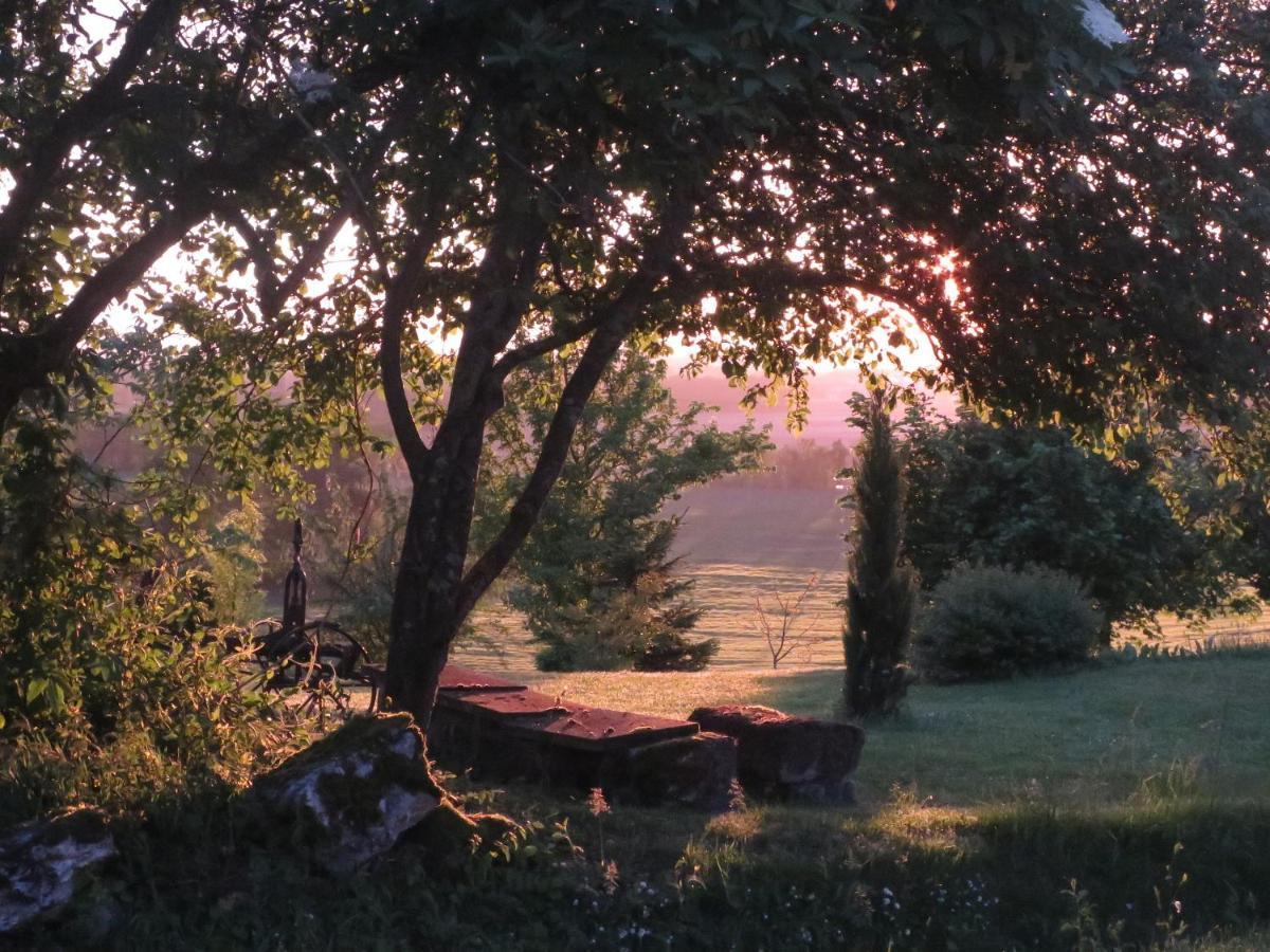 Bed and Breakfast La Ferme Buissonniere Bardou Exteriér fotografie