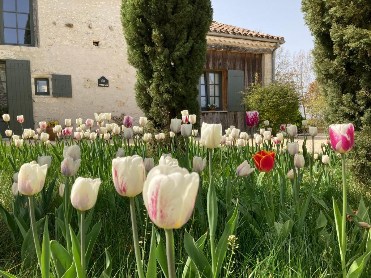 Bed and Breakfast La Ferme Buissonniere Bardou Exteriér fotografie