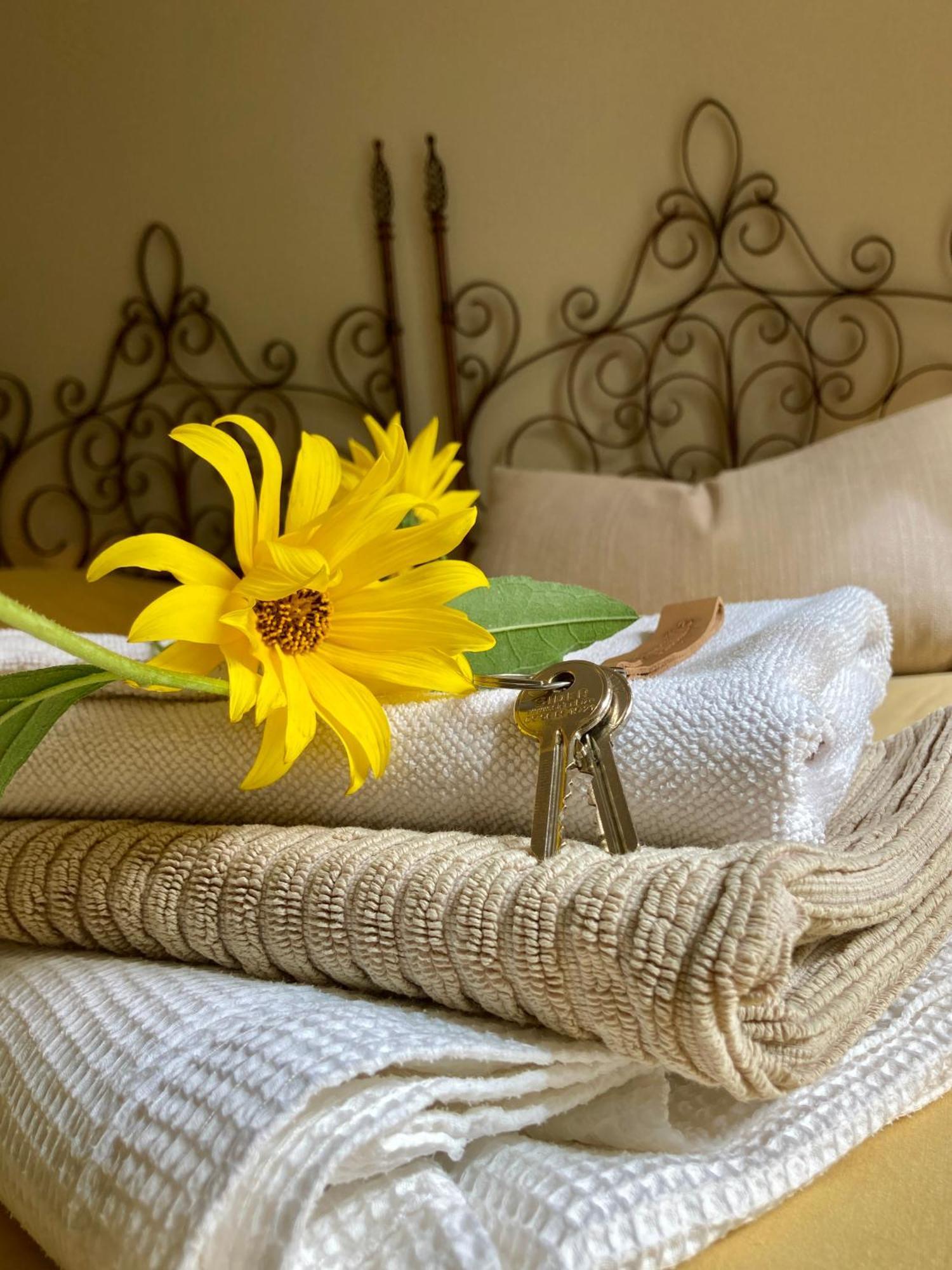 Bed and Breakfast La Ferme Buissonniere Bardou Exteriér fotografie
